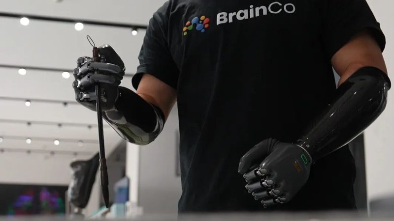 企业级搜索引擎：如何选择最适合的解决方案**