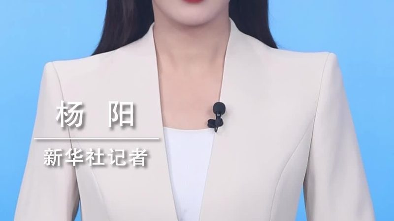 芯片研发外包全流程解析：从需求到成果的每一步**